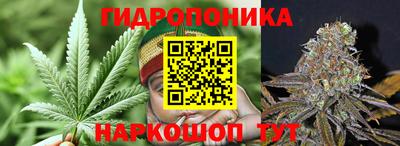 spice Кандалакша